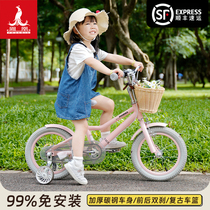 凤凰儿童自行车女孩宝宝3-6-8-10岁公主款脚踏小孩男孩单车女童车